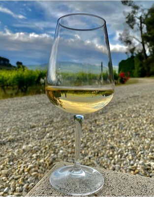 Offre 6+2 -carton viognier sec 2019