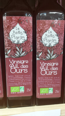 Vinaigre ail des ours bio