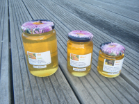 Miel de toutes fleurs de printemps