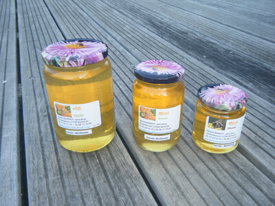 Miel de toutes fleurs de printemps