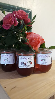 Cerises et pétales de roses