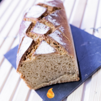 L'engrain de provence  (petit épeautre)