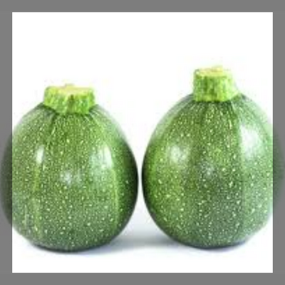 Courgette ronde