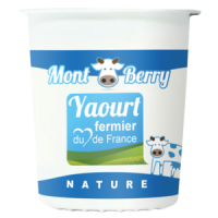 Yaourt montberry nature