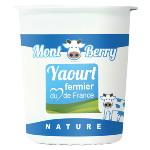 Yaourt montberry nature