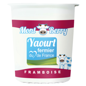 Yaourt montberry framboise