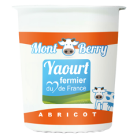 Yaourt montberry abricot