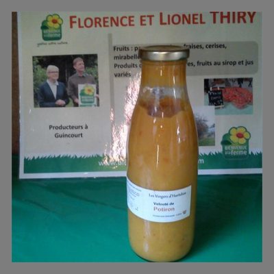 Soupe de potiron bio