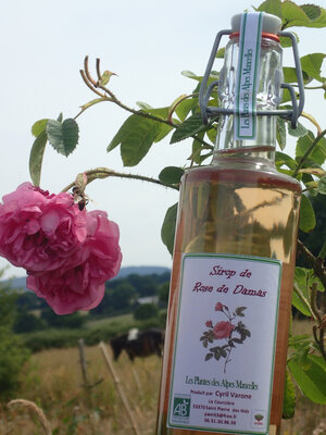 Sirop de rose de damas