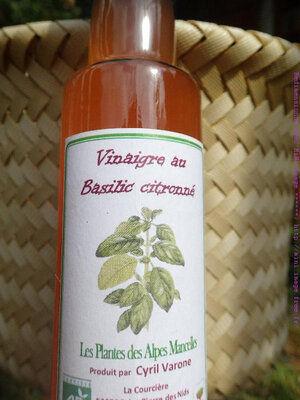 Vinaigre au basilic citronné