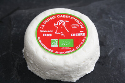 Cabri blanc