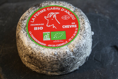 Cabri cendré