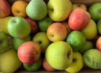 Mélange de petites pommes