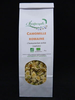 Camomille romaine