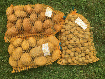 Offre promotionnelle pommes de terre