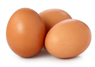 Oeufs de poule bio (sans boîte)