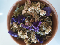 Frisson bleuté de mauve délicate