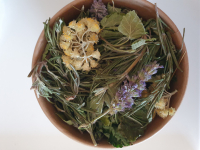 Vert givré de mélisse malicieuse