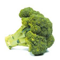 Brocoli