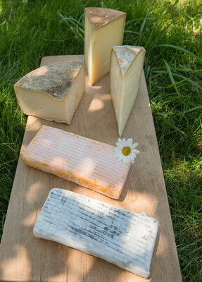 Plateau affiné