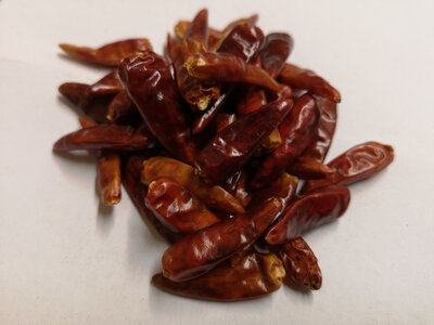 Piment pili-pili oiseau entier