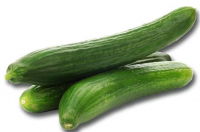 Concombre long ou court