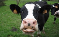 Lait demi ecreme made in limousin