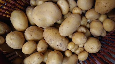 Pomme de terre agata 1 kg