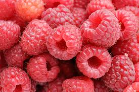 Framboises 1kg