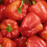 Poivron rouge doux