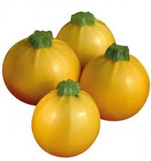 Courgette ronde jaune