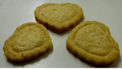 Biscuits au gingembre - sachet 100g