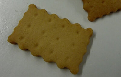 Biscuits petit beurre - sachet 100g