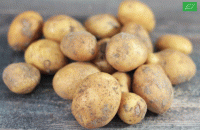 Pommes de terre grenaille bio