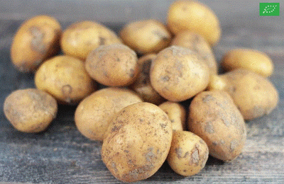 Pommes de terre grenaille bio