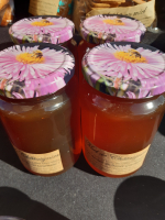 Miel de châtaignier 500 gr 🌰