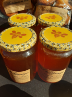 Miel de garrigue 500 gr 🌼