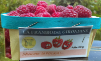 Framboises barquette de 250 gr