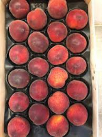 Pêches blanches ou jaunes en plateau