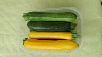 Courgettes vertes  bio