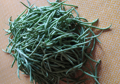 Haricots verts extra-fins