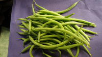 Haricots verts bio