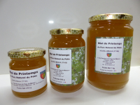 Printemps parc du pâtis meaux