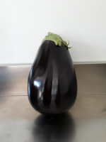 Aubergine bio