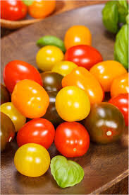 Tomates cerises bio