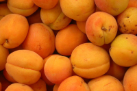 *fruit - abricot roussillon