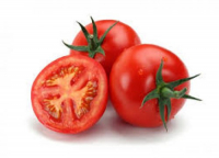 Tomates rondes en conversion bio