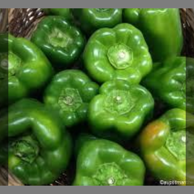 Poivrons vert
