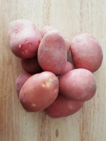 Pomme de terre  rosabelle