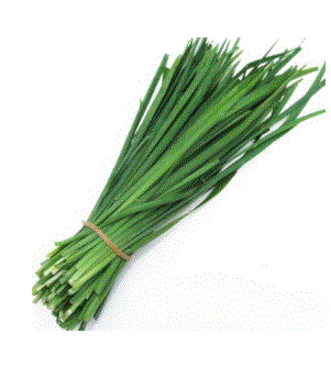 Ciboulette bio